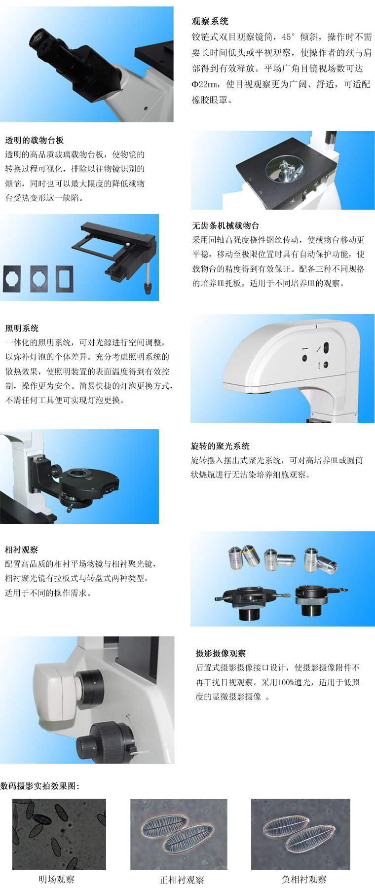 37XC-3倒置生物显微镜